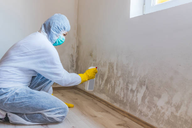 Licensed Mold Testing service in West Long Branch, NJ - WQB Mold Removal