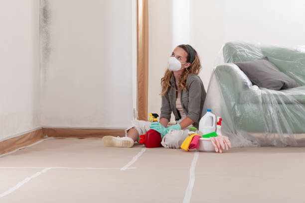 Reliable Mold Testing contractor in West Long Branch, NJ by WQB Mold Removal