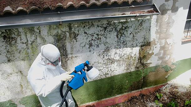 Top rated local Mold Testing specialists in West Long Branch, NJ